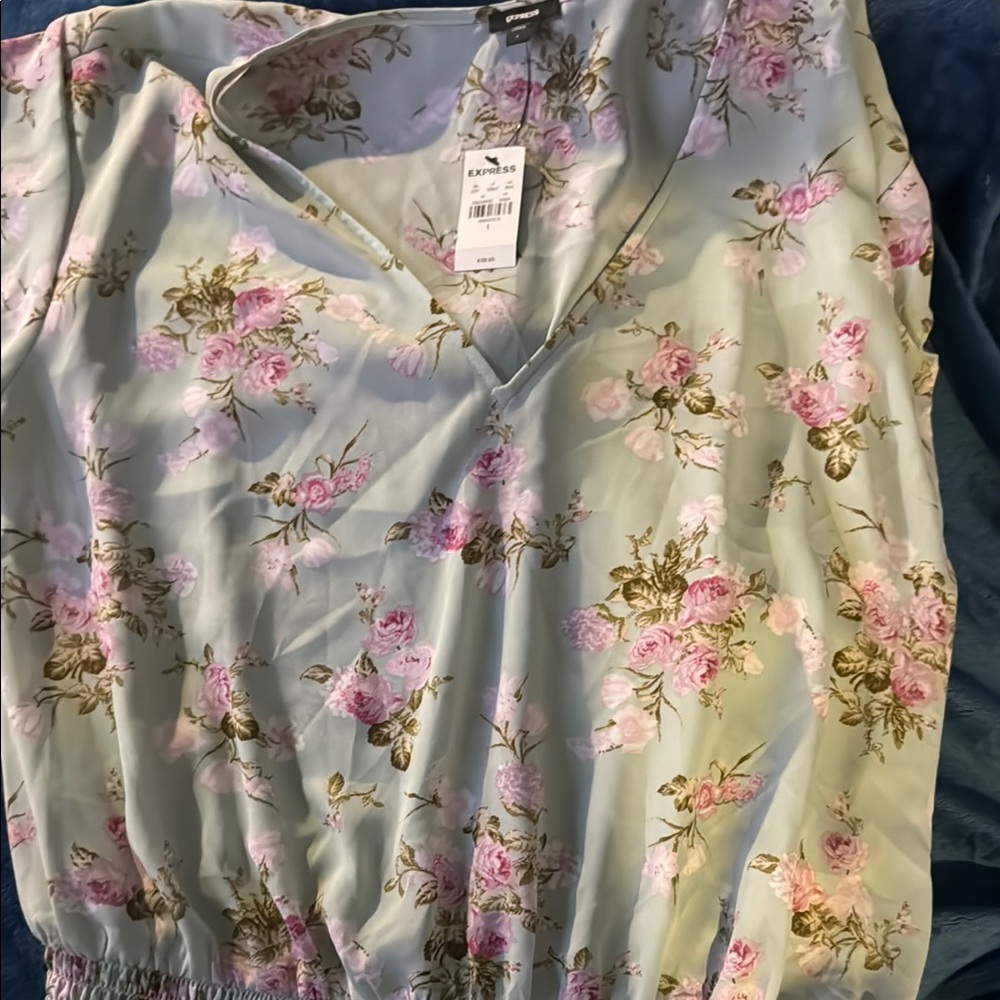Express Floral V-Neck Top in Pink and Green